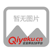 供應(yīng)雙電源自動切換開關(guān)(圖)